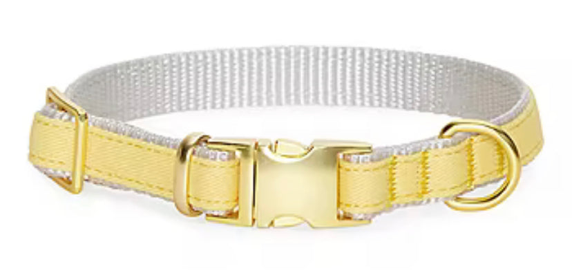 Pastel yellow 2024 dog collar