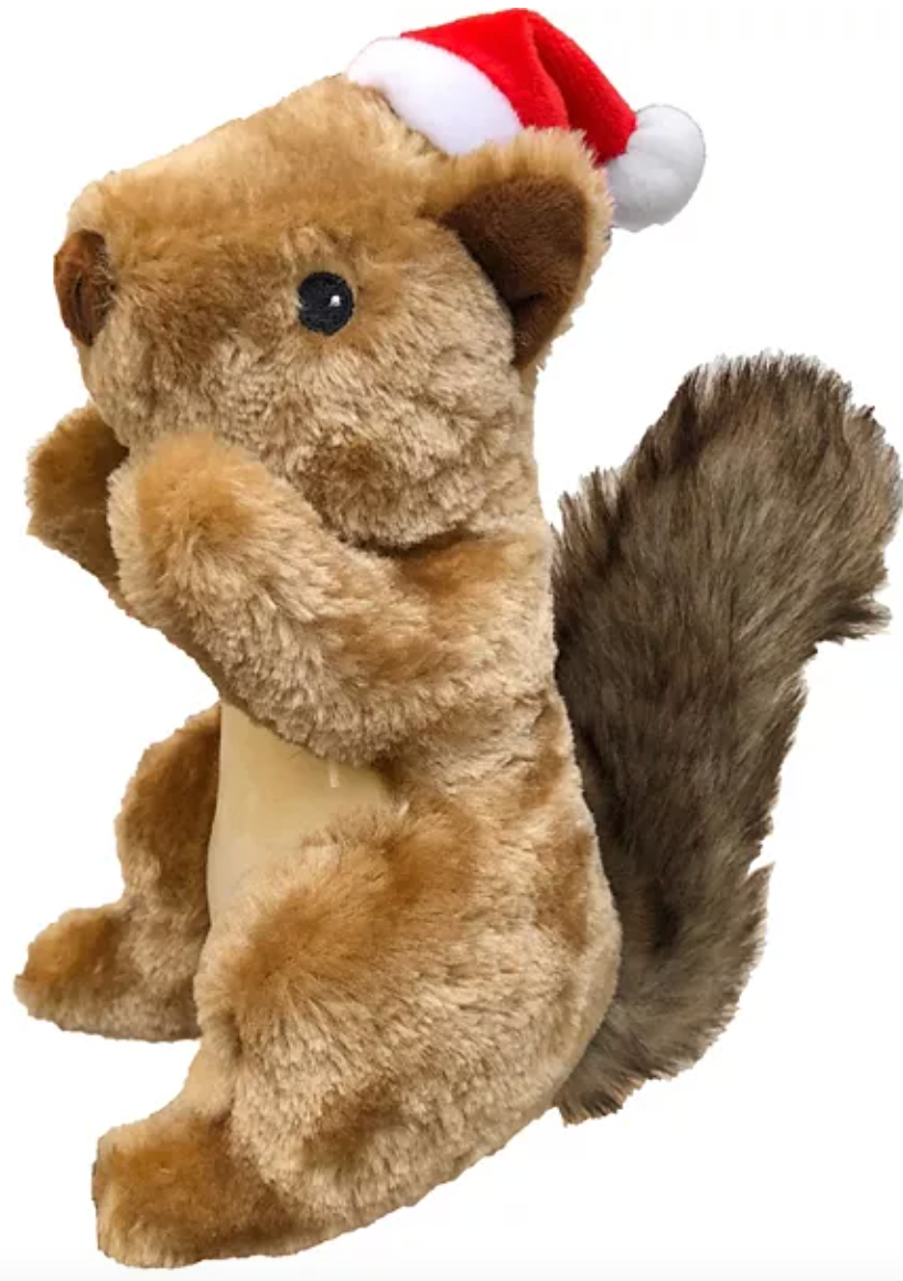 Mister Acorn Pup Toy