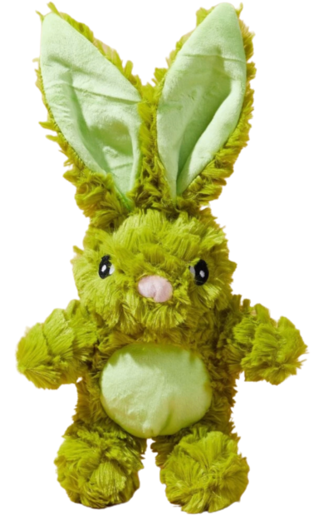 Green Bunny Squeaker