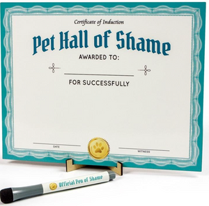 8"x10" Dry Erase Board & Pen - Naughty Improvement Certificate