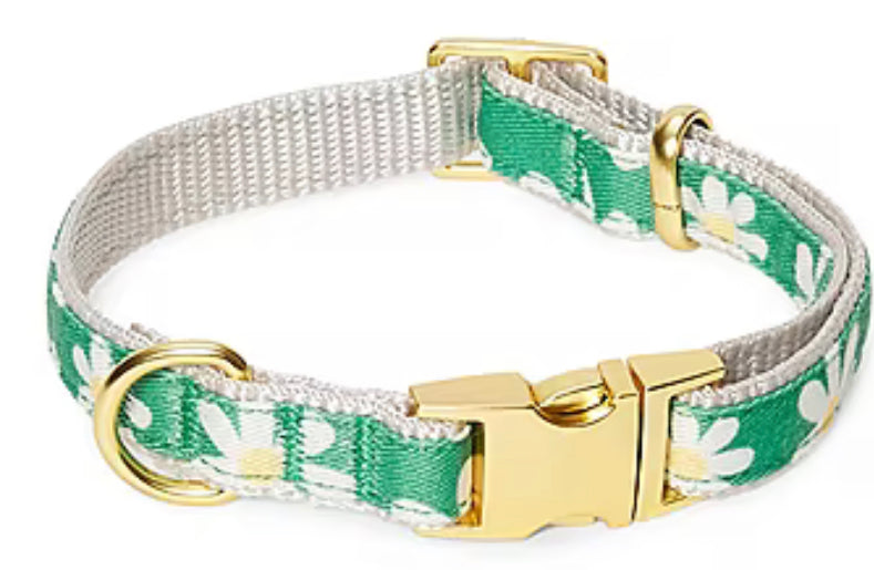 Dog Collar: Daisy Green.